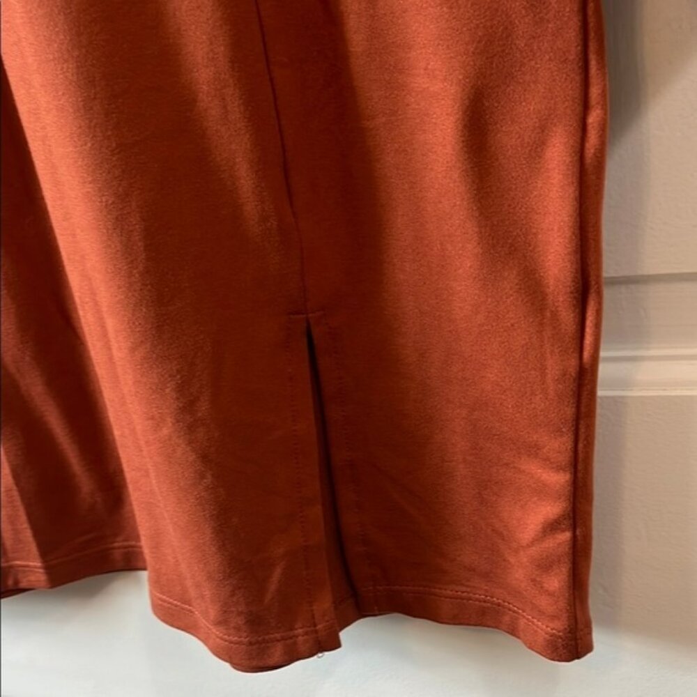 NWT Leith Lightweight Rust Clay Long Sleeve Mini Dress - Size Small - Picture 4 of 10